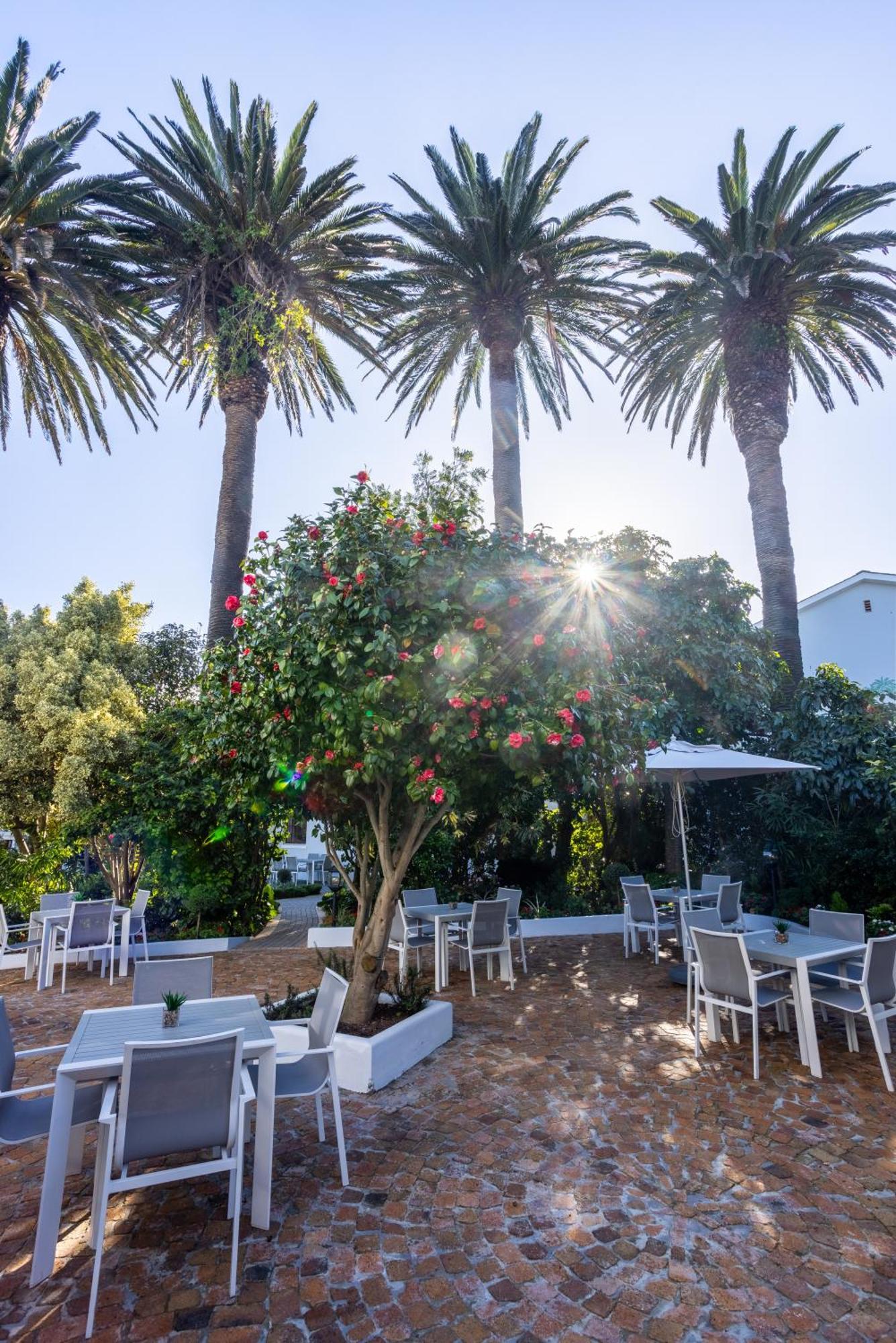 Palm House Boutique Hotel And Spa Cape Town Exterior photo